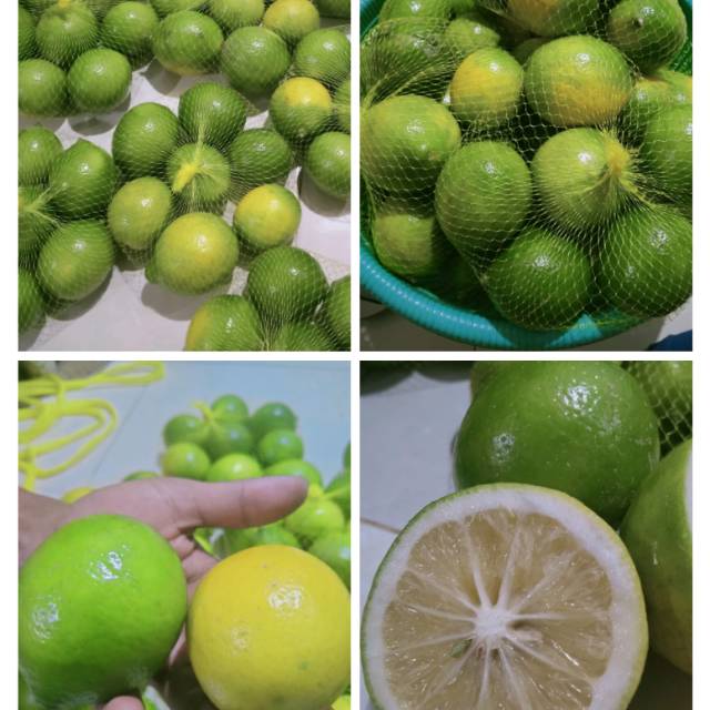 

jeruk lemon california 1kg