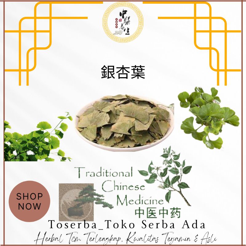 

1kg Herbal Yin Xing Ye 銀杏葉 Teh Ginkgo Daun Ginkgo Biloba Tea Daun Ginkgo Biloba Ginkgo Daun Teh