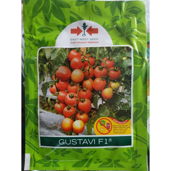 BENIH TOMAT - GUSTAVI F1