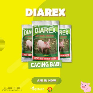 Jual DIAREX 30 GRAM OBAT ANTI DIARE MUNCRAT BABI ANTIBIOTIK - TAMASINDO ...