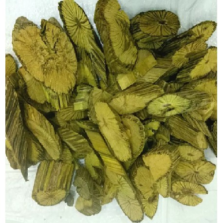 

Mengobati Kanker Bajakah Kuning Legendaris Asli Kalimantan