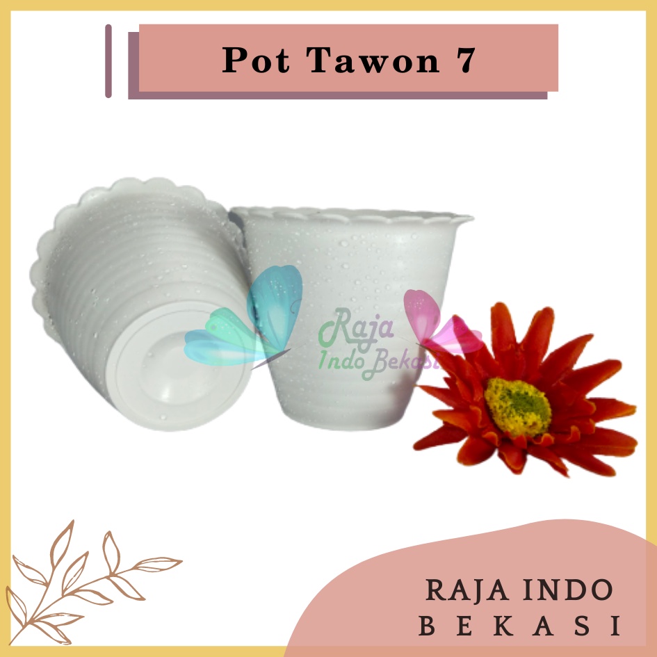 Pot Tawon 7 Putih 7.5 Cm By Garden Of Love Pot Bunga Plastik Mini Lucu Vas Bunga Kaktus Kecil