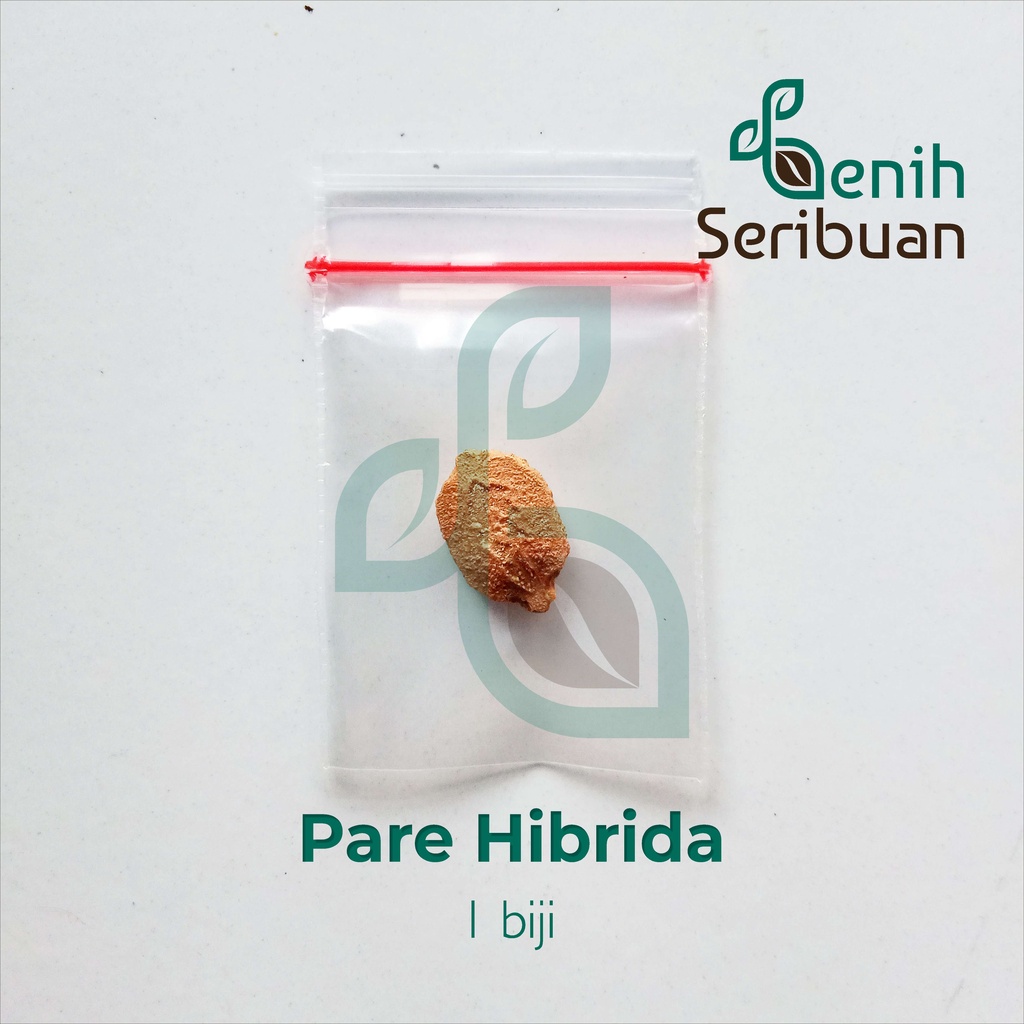 1 Benih Pare Hibrida F1 Sayuran Pahit Besar Komando - Bibit Tanaman Sayur Seribuan Berkualitas-2
