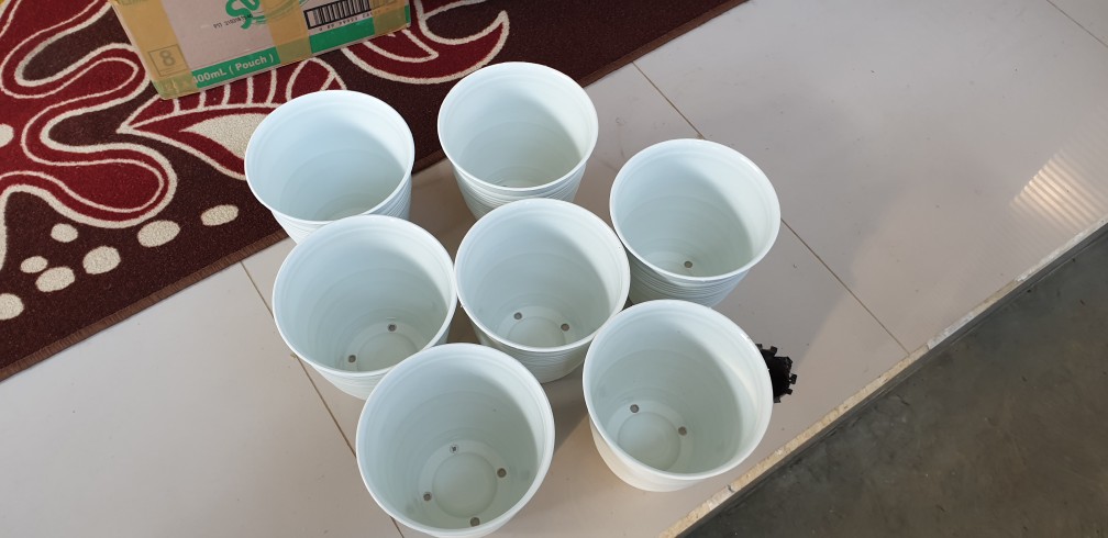 Pot Pirus 18 Cm Pot Tawon Pirus 18 Tirus