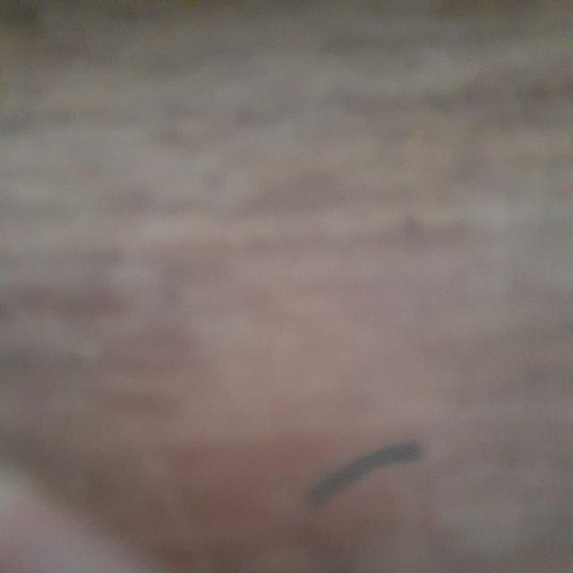 Sikat Cuci Gagang/lantai