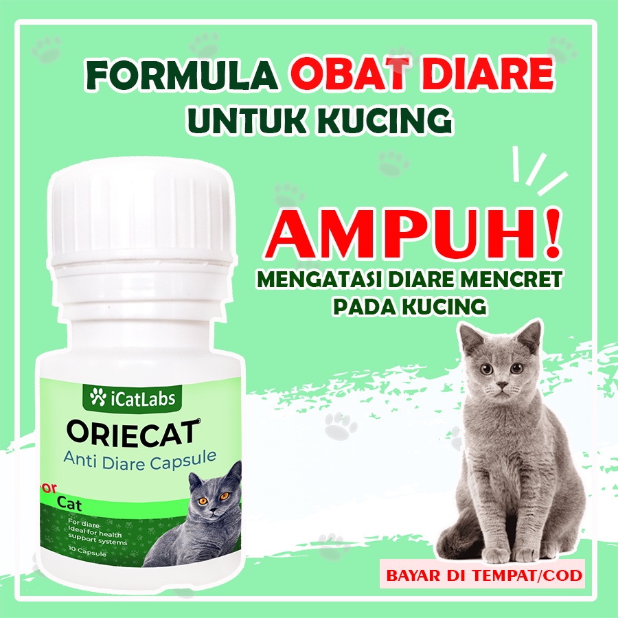icat labs ORIECAT OBAT DIARE MENCRET KUCING VITAMIN KUCING MAKANAN KUCING OBAT SAKIT PERUT KUCING