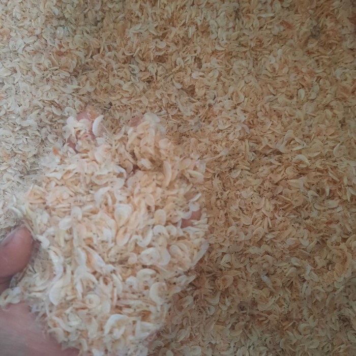 

Q12S Udang Rebon Asin 500Gr D51qs