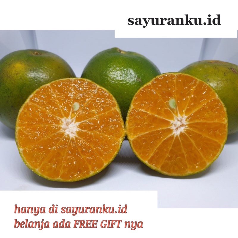 

jeruk peras segar - 500 gram