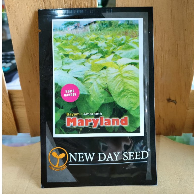 NDS - benih BAYAM HIJAU MARYLAND isi 10 gram - new day seed