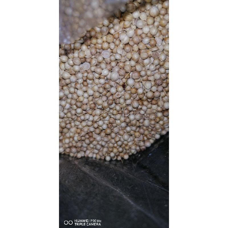 

Ketumbar Bulat 50 Gram