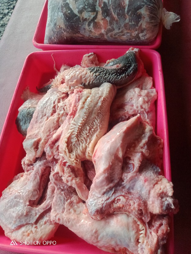 Kunci Hasp Lock 4 Soligen (overpal 4 Soligen)