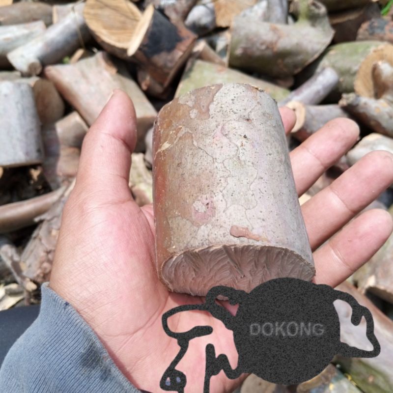 

fire Wood Kayu bakar jambu biji kering