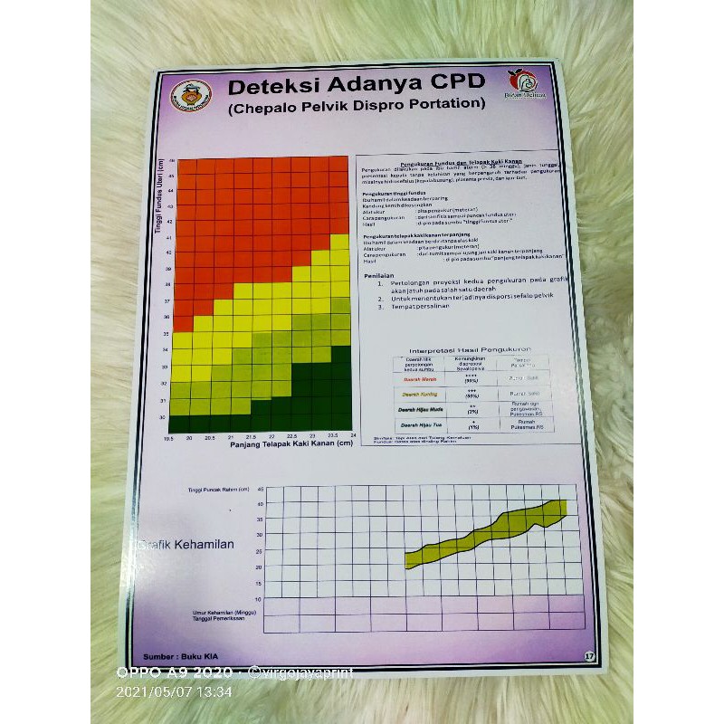 

POSTER DETEKSI ADANYA CPD (No 17)