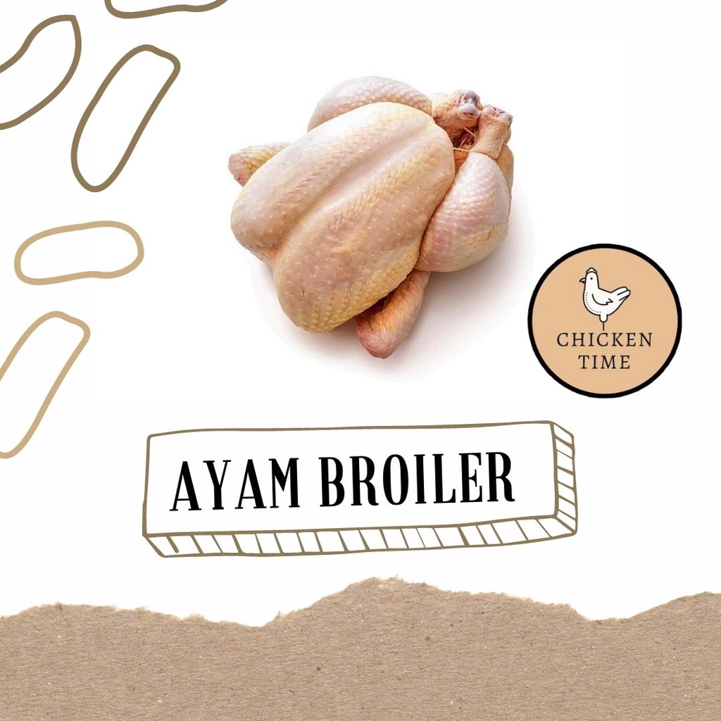 

Ayam Broiler