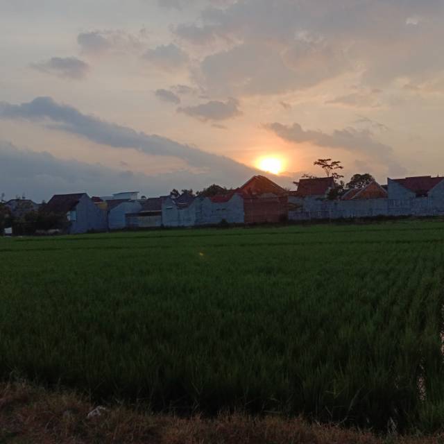 diahpurwito