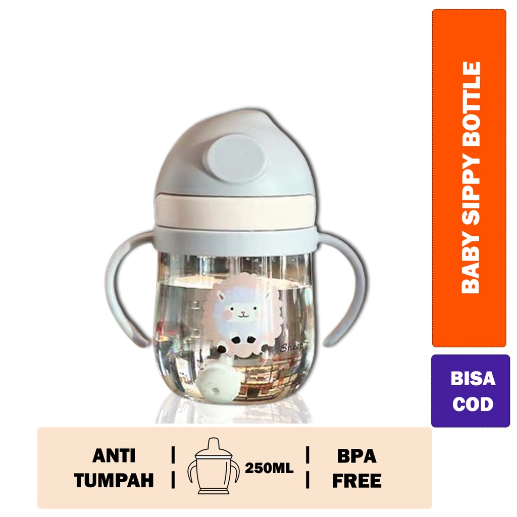 Botol Minum Bayi / Baby Training Bottle / Botol Minum Anak BPA Free 250ml
