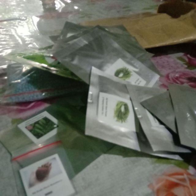 Biji Benih Sayur Bayam Merah