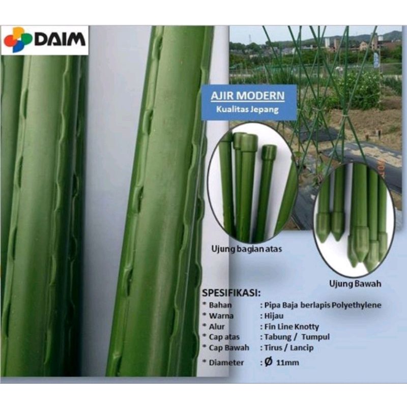 Ajir Pipa tanaman modern panjang tinggi 150cm