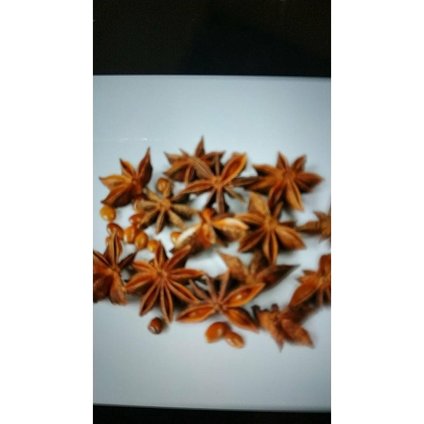 

kembang lawang / bunga lawang