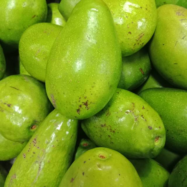 Buah Alpukat Oganik / Organic Avocado 1kg