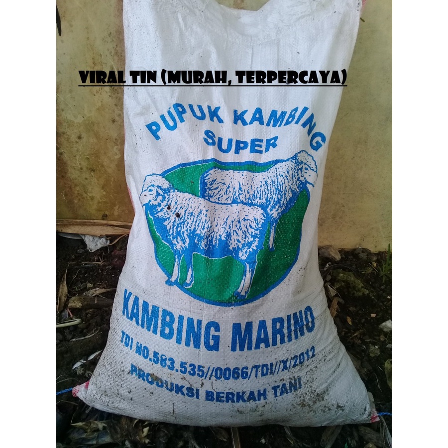 pupuk kompos organik fermentasi kotoran kambing.