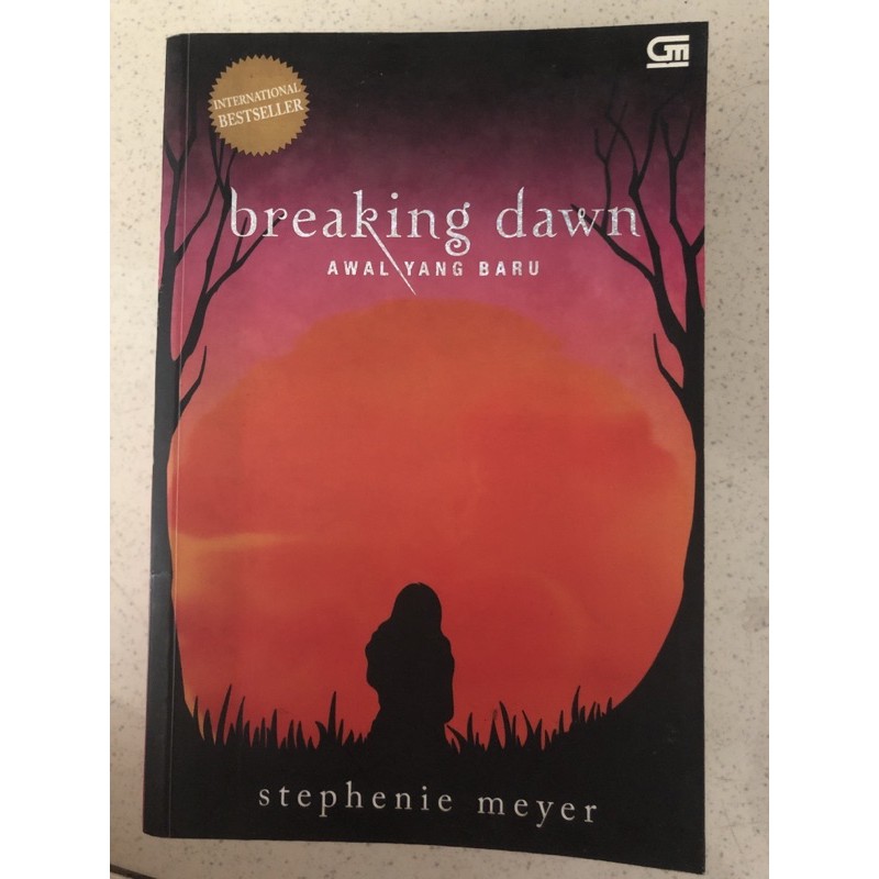 Novel Breaking Dawn