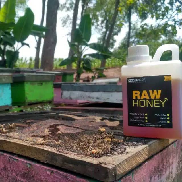 

Baru Madunesia/Madu Budidaya RANDU raw honey MADU SEGAR ASLI MURNI TANPA CAMPURAN by Madunesia