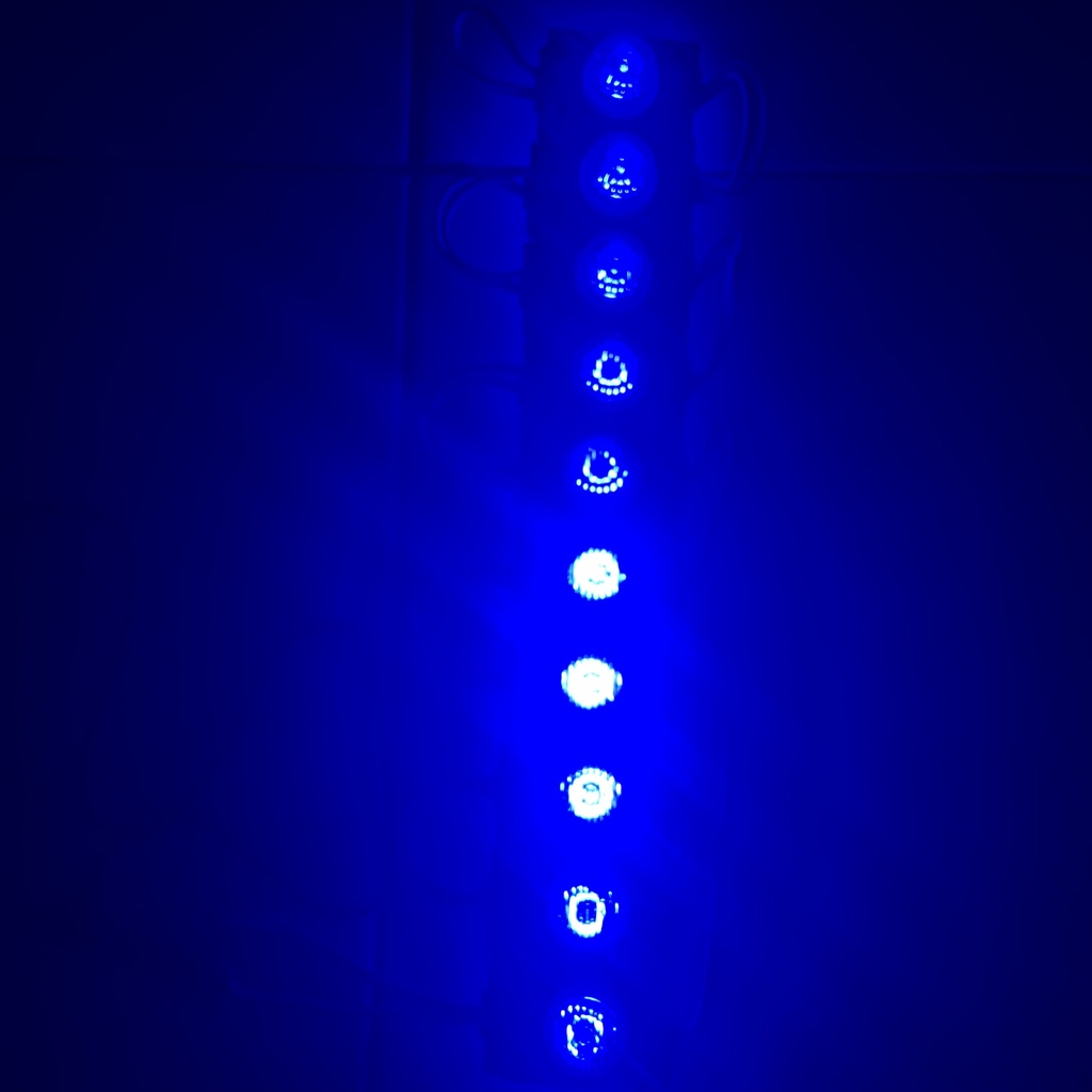 Modul Led 1 Mata Jumbo 12v P/B/M/H/K/pink