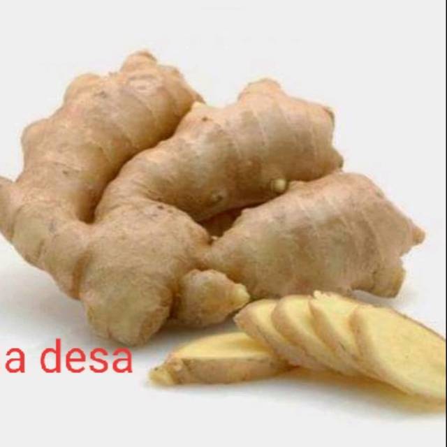 

Temu putih segar 1 kg