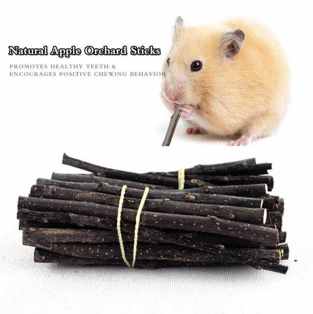 NATURAL APPLE ORCHARD CHEW STICK ASAH GIGI HAMSTER KELINCI CHINCILA TUPAI CHEWING WOOD STICK