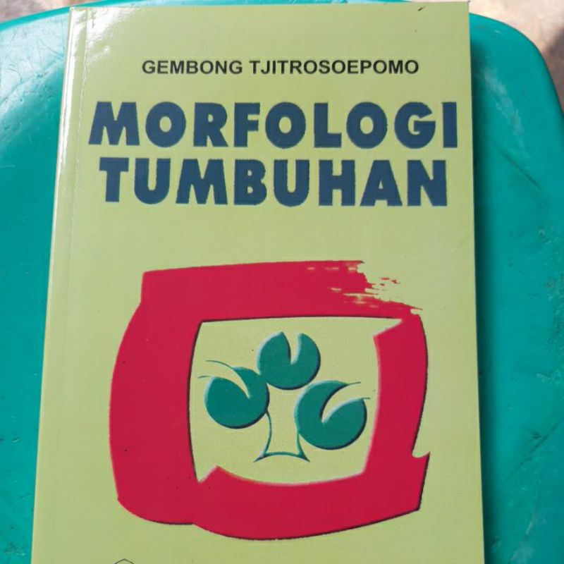 MORFOLOGI TUMBUHAN.