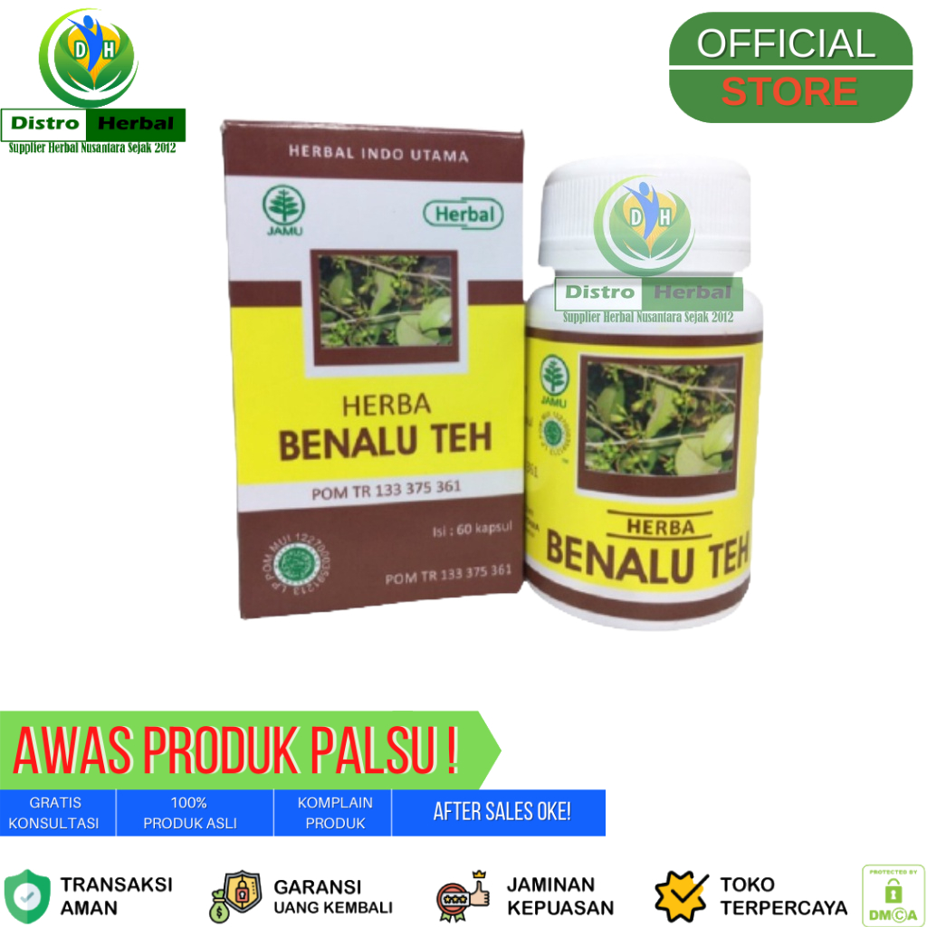 Jual Kapsul Ekstrak Benalu Teh Obat Herbal Kanker Dan Tumor Herbal Indo Utama Shopee Indonesia