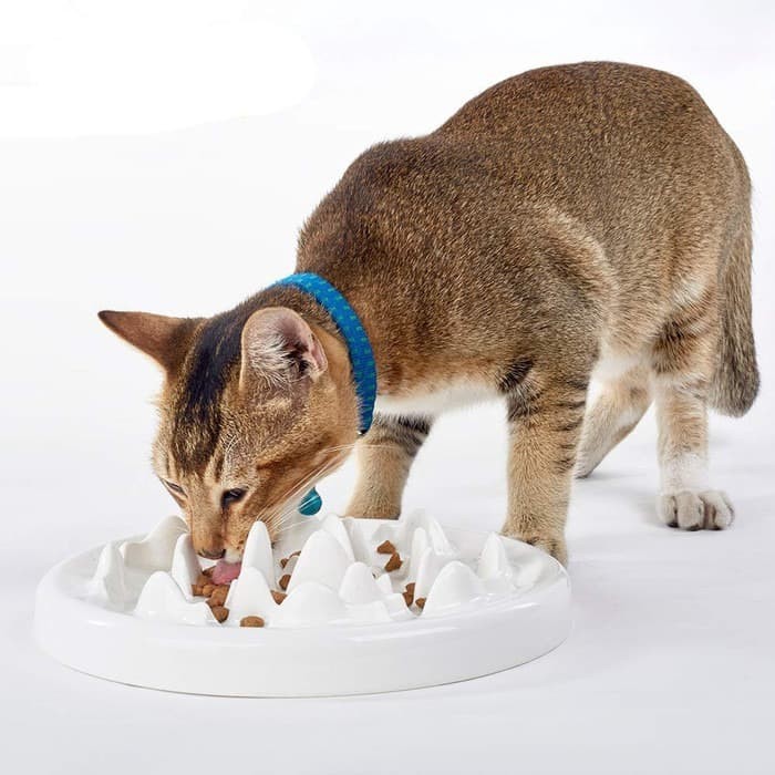 original catch Interactive Feeder Cat dog anjing kucing Bowl