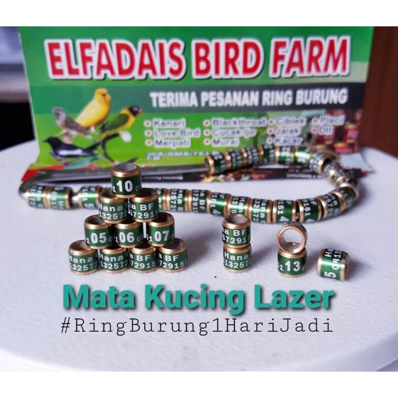 25PCS Ring Burung MODEL MK MataKucing Cepat 1Hari Jadi