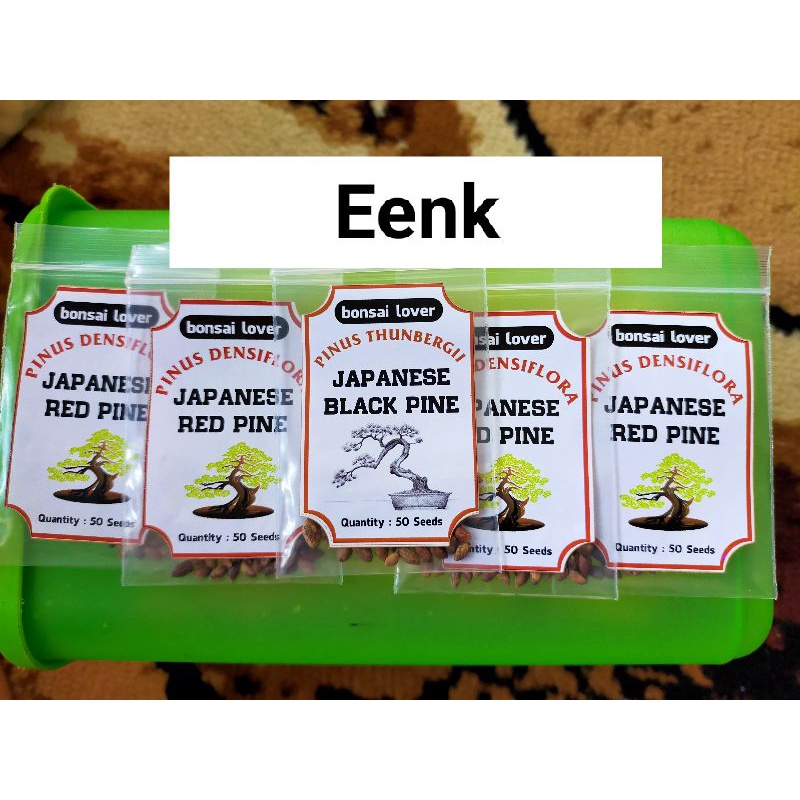 Paket Hemat Biji Japanese Black Pine isi 150