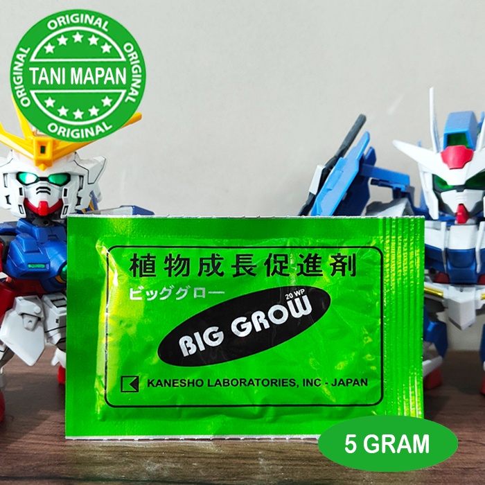 ZPT - BIG GROW 5 gram - GA3