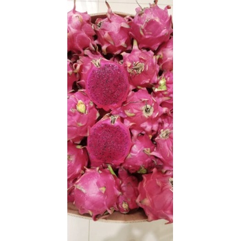 

buah naga merah 1 kg 1 - 2buah