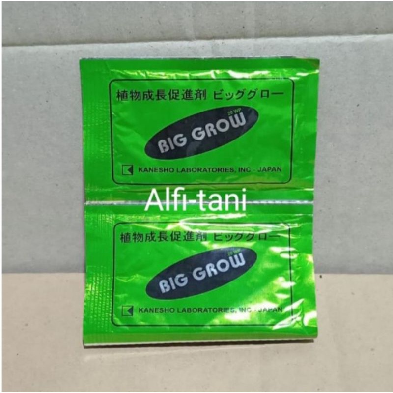 zpt BIG GROW 20WP Original