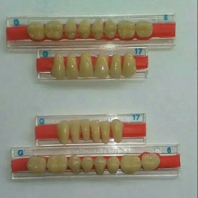 GiGi Palsu ITALDENT full set Gigi Palsu /Tiruan
