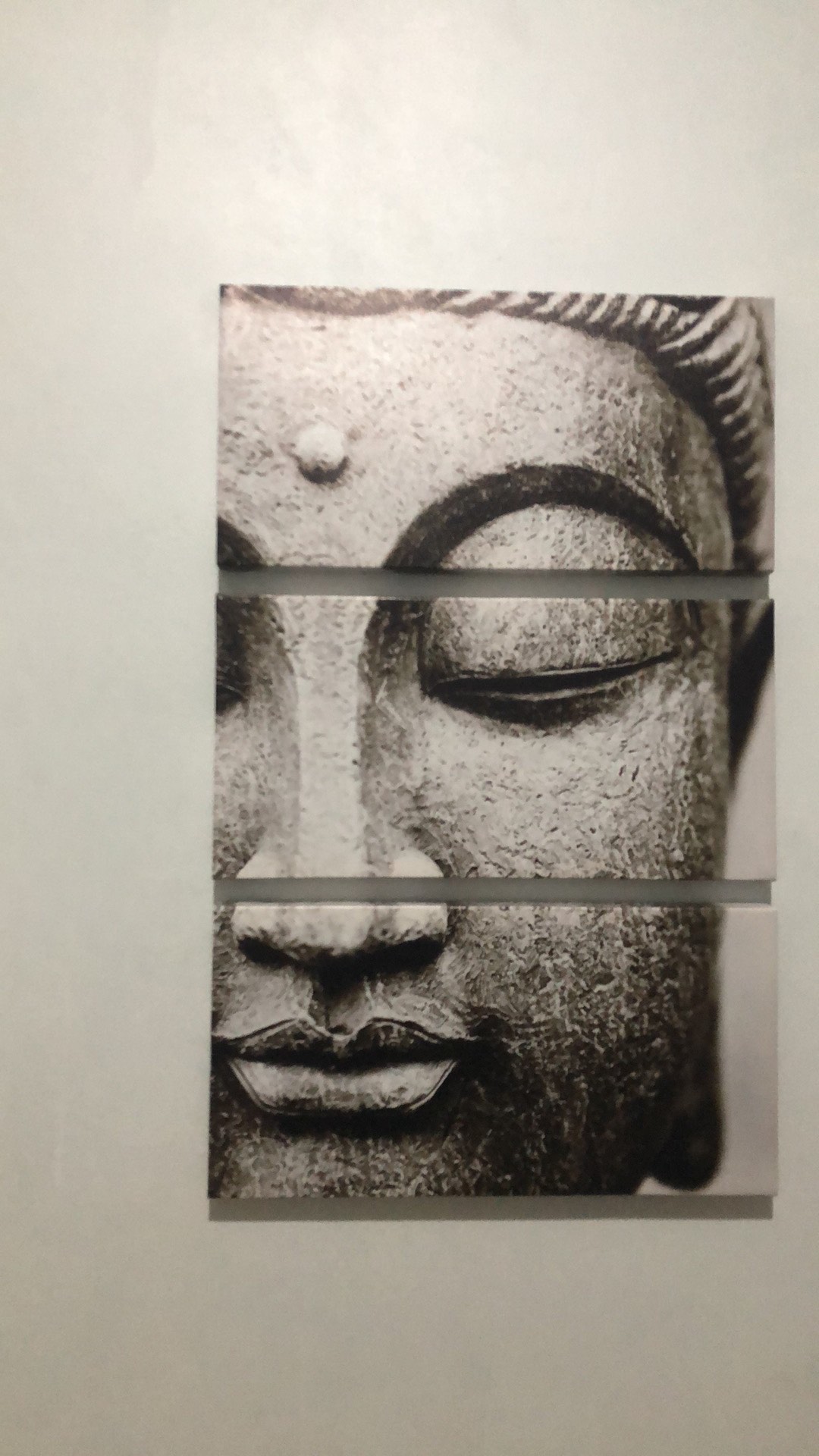 Lukisan Canvas Dekorasi Buddha Head (with Frame) 20cm X 40cm (pla01)