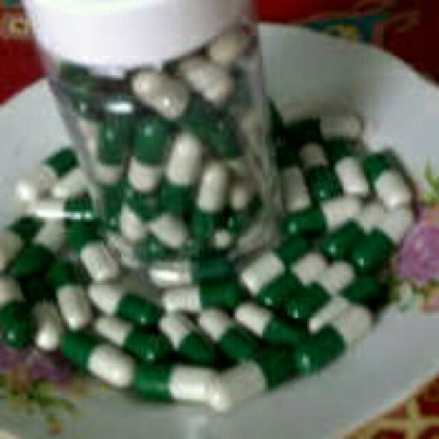 

Jamu Penggemuk Tradisional