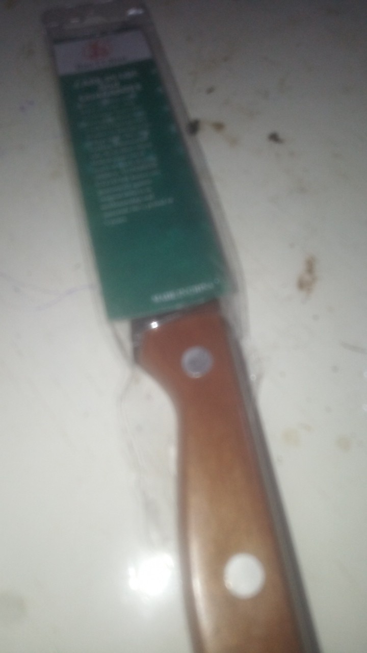 Pisau Dapur Stainless Gagang Kayu