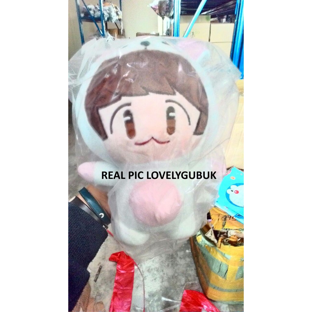 GOOD MARKET [Lovelygubuk] Boneka Exo, EXO plush doll, Boneka sehun, chanyeol, baekhyun dkk