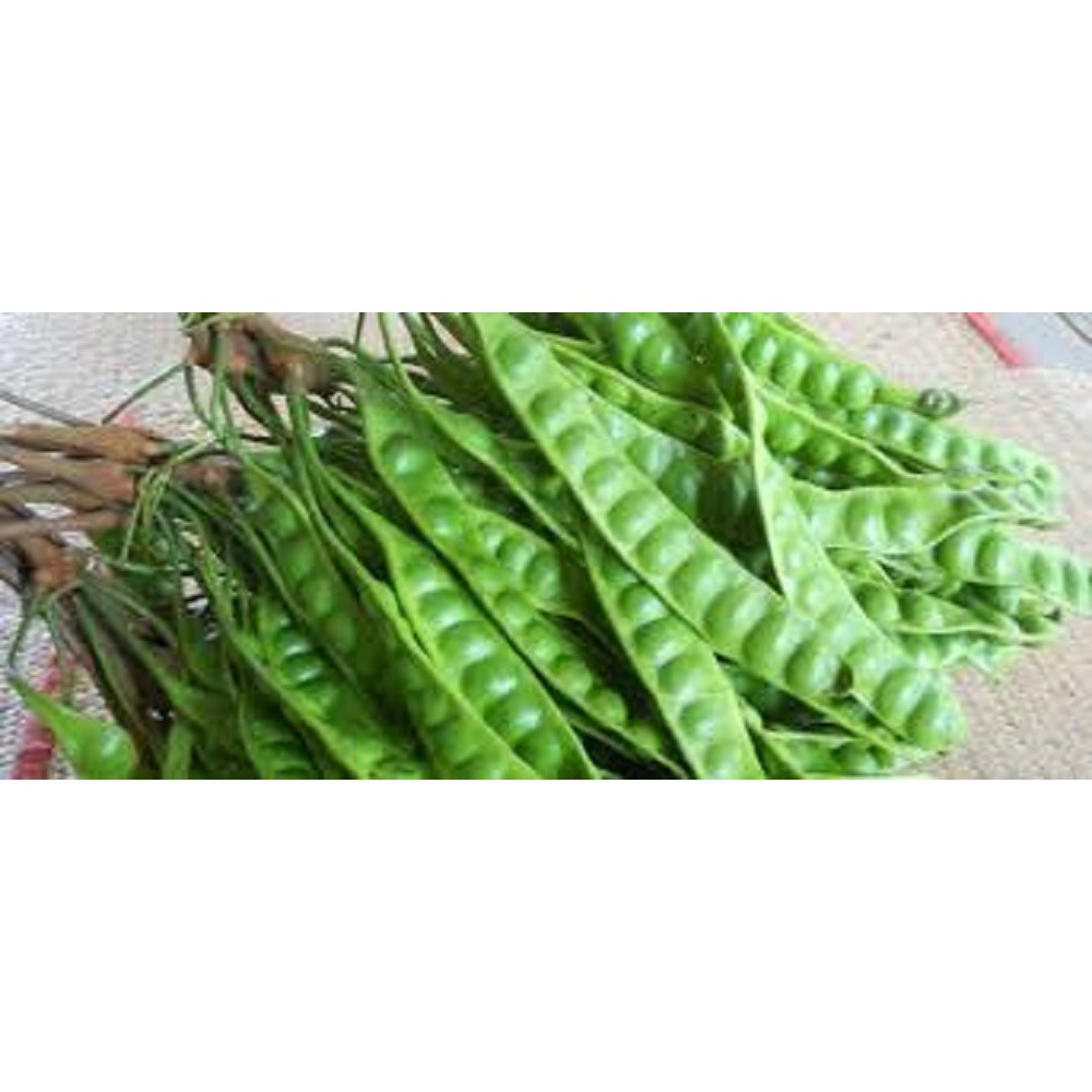 

PETE SAYUR