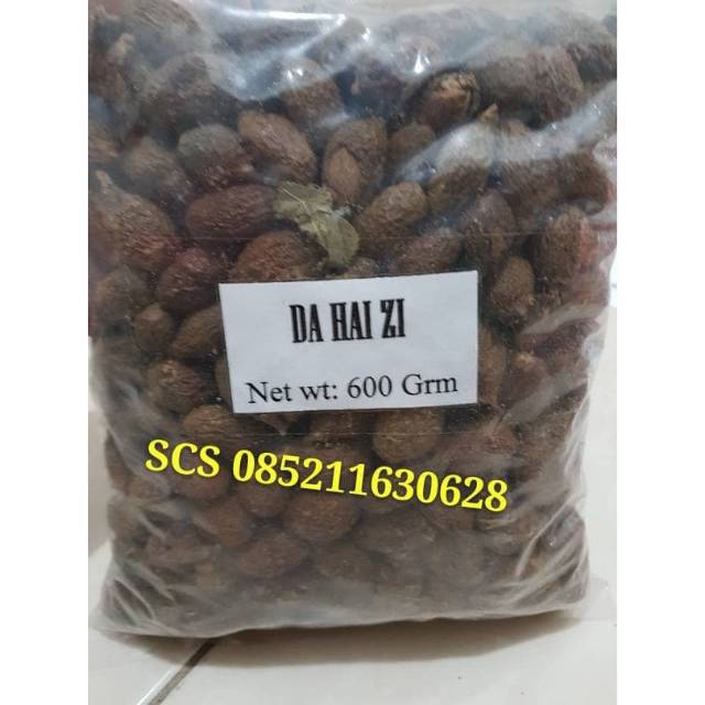 

Da hai zi 600 gram pang da hai