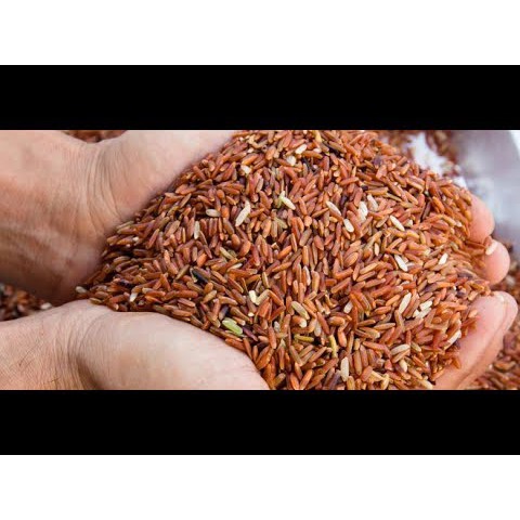 beras merah untuk campuran pakan ayam 500 gr (repack)