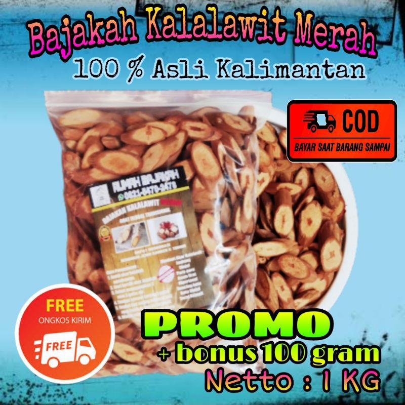 

BAJAKAH KALALAWIT MERAH 100% ASLI KALIMANTAN