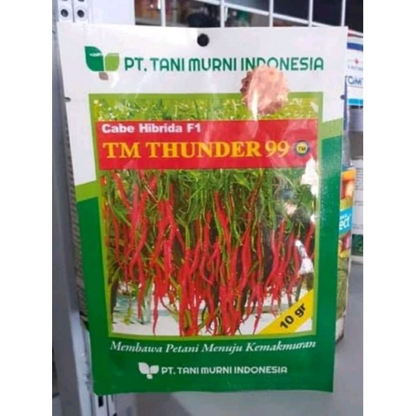 Benih CABE TM THUNDER 99/10GRAM