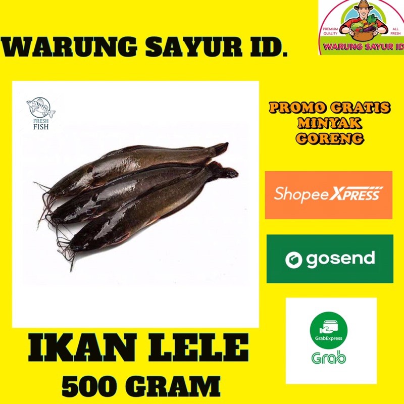 

IKAN LELE SEGAR 500 GRAM / BUKAN IKAN FROZEN
