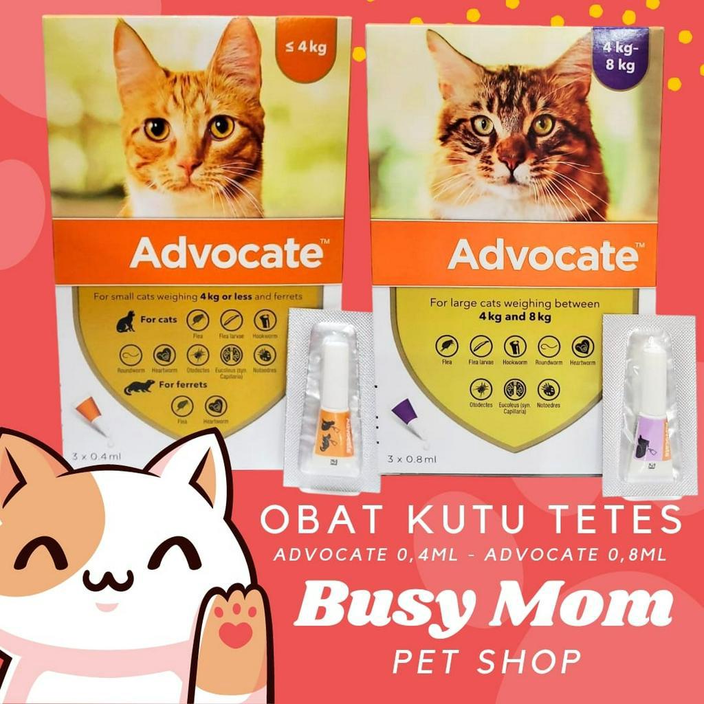 Advocate Obat Kutu Tetes Kucing